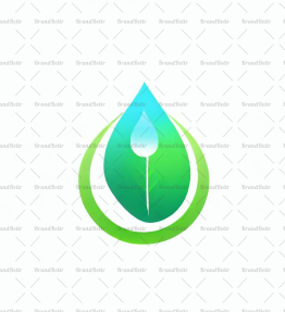 Wassertropfen und Blatt